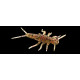 Leurres Souple Fishup Stonefly 1,9cm